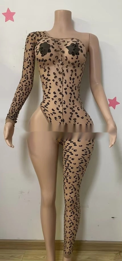 Exotic Dance Costumes