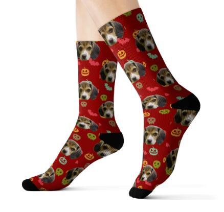 P Pet Socks For Dog Cat Lover