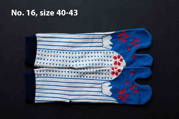 Co Two-finger Socks