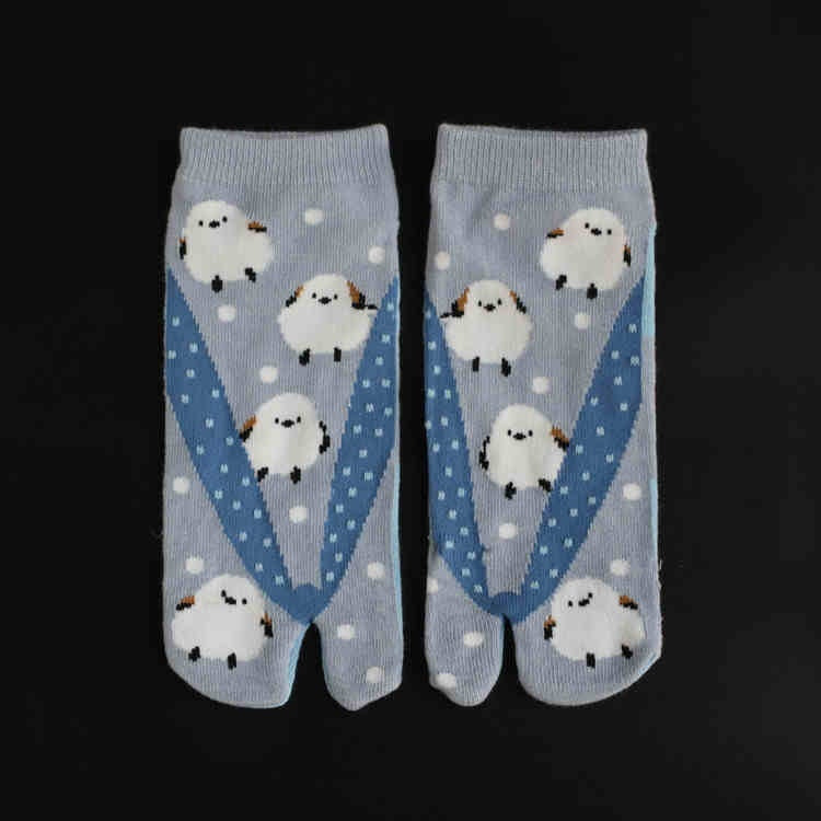 Co Two-finger Socks